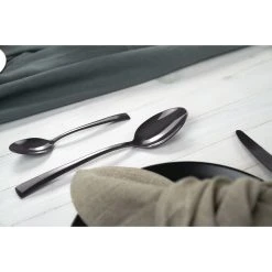Buy ???? ZWILLING Bellasera (polished) 20-pc slate flatware set, 18/10 Stainless Steel, slate ???? -Zwilling-shop 750053725